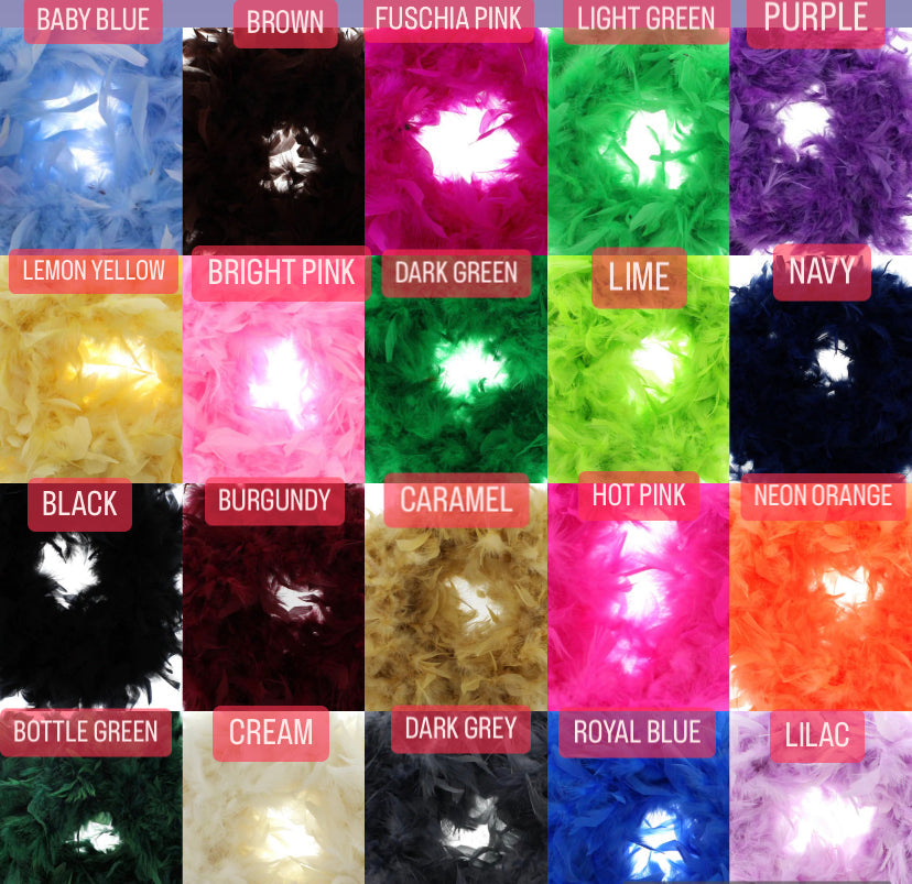 FEATHER CHANDELIER LIGHT SHADE 2-4 WEEKS