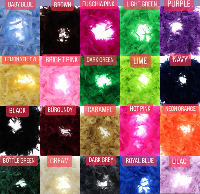 MEDIUM FEATHER CHANDELIER 2-4 WEEKS